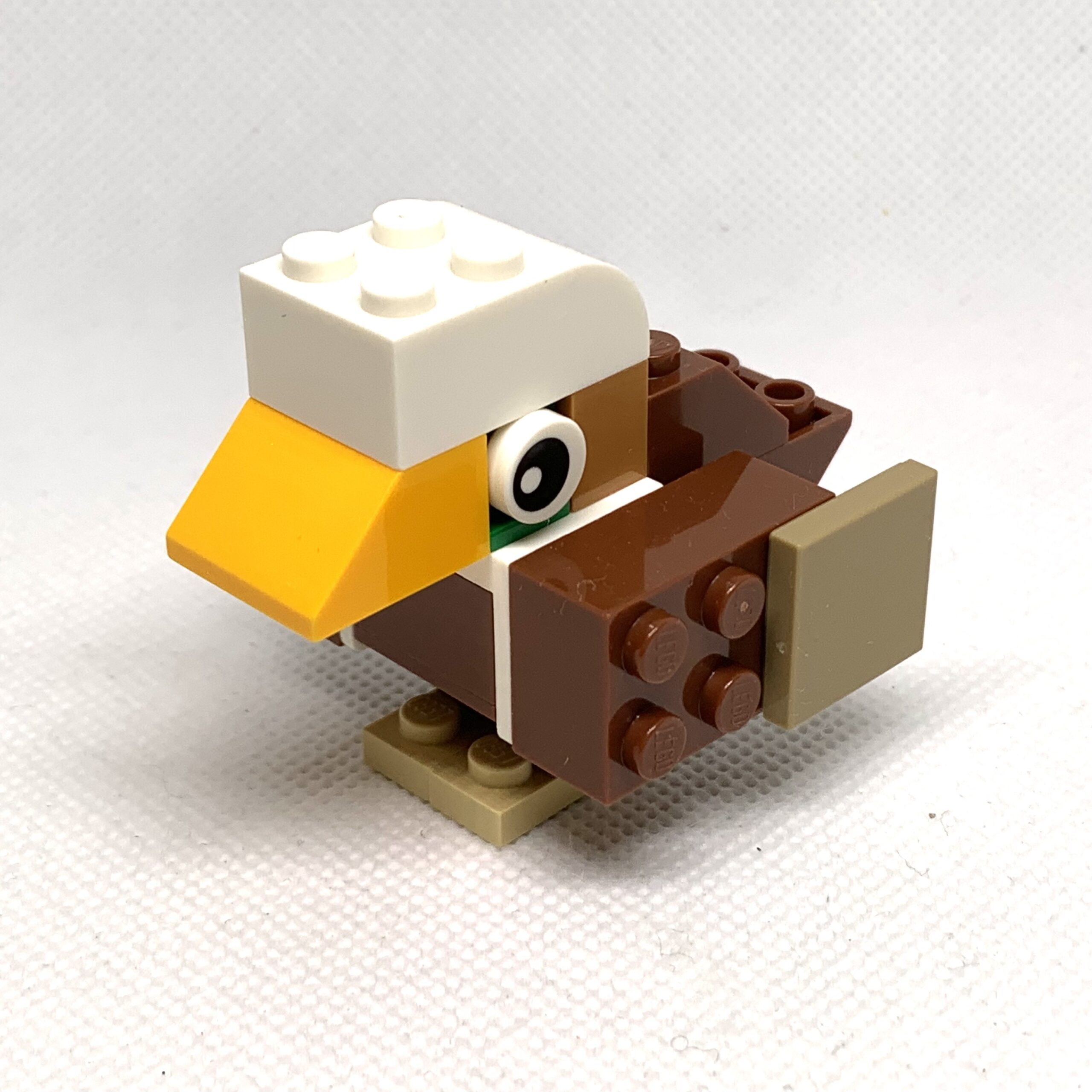 レゴで作れるアメリカの国鳥ハクトウワシ